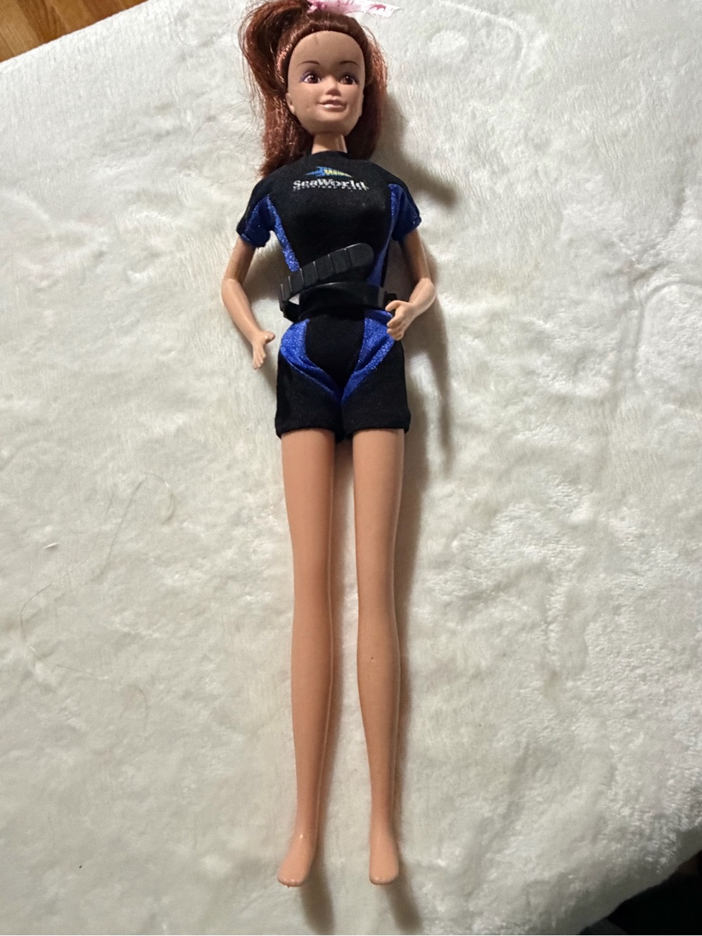 SeaWorld Sea Life  Barbie 11in Fashion Doll Brown Hair Brown Eyes Wetsuit Outfit